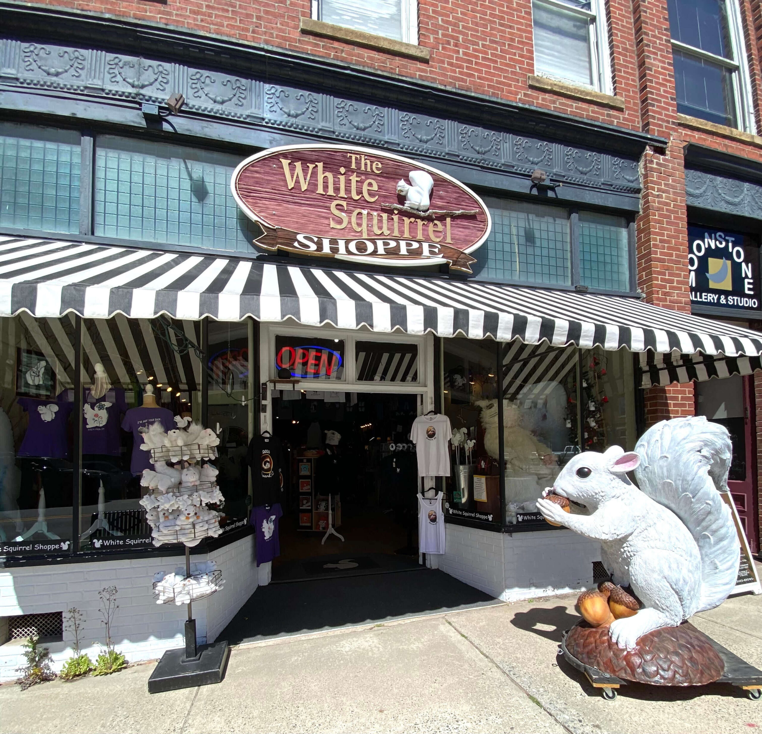 White Squirrel Shoppe storefront in Brevard, NC